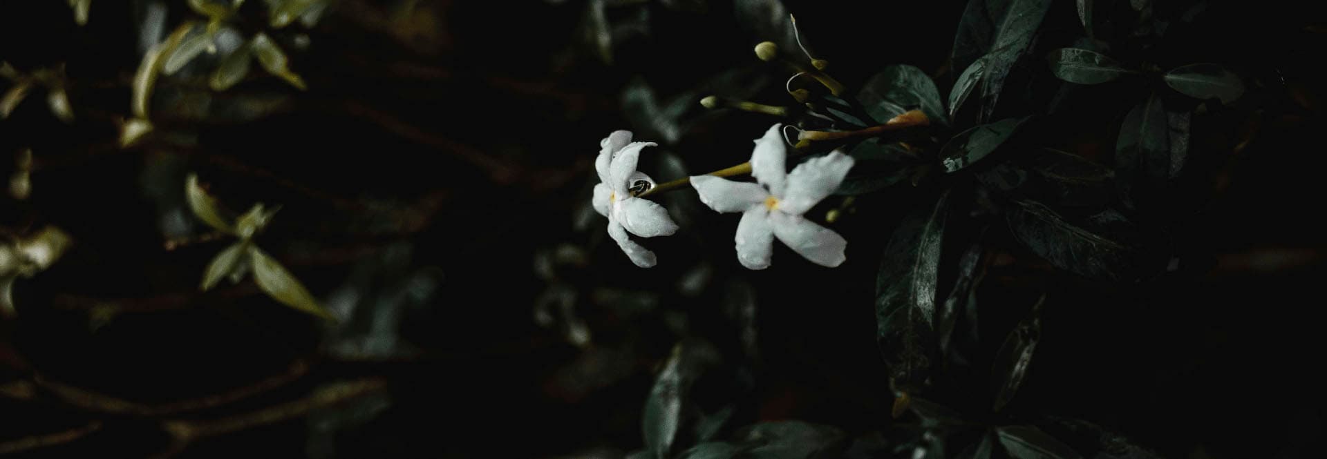 Beden İmajı ve Ruh Sağlığı: Meme İmplantı Ameliyatı Sonrası Duygusal İyilik Halini Beslemek