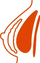 GC Aesthetics® medical illustration